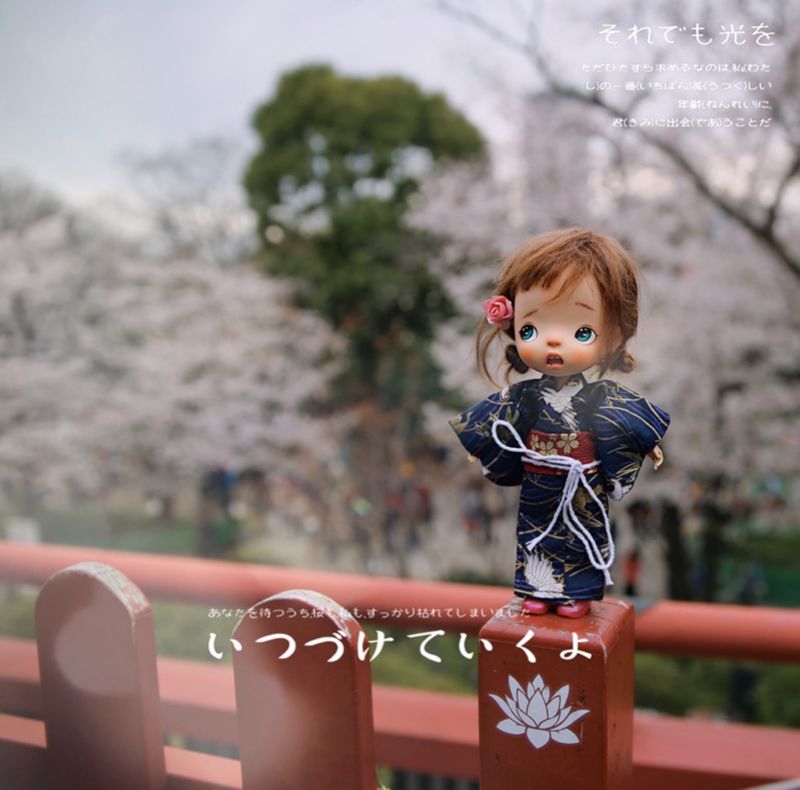 1/8 1/6 1/4 1/3 BJD kimono jap - Japanese Lifestyle Shoes reseña y precio
